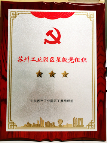 集團黨委參加工業(yè)園區(qū)婁葑街道紀念中國共產黨成立98周年座談會并受表彰